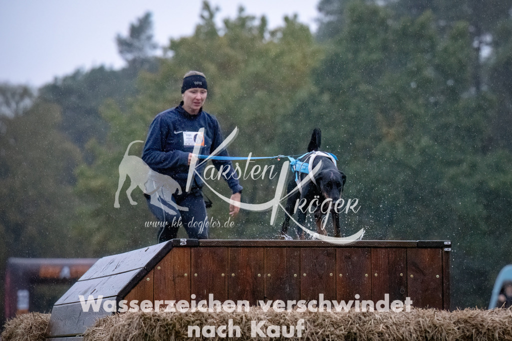 0828-_ZZ91389-Bearbeitet | kk-dogfotos