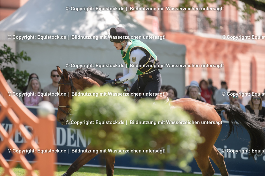 20230527_27_CCI4_Gelände_0093 | equistock