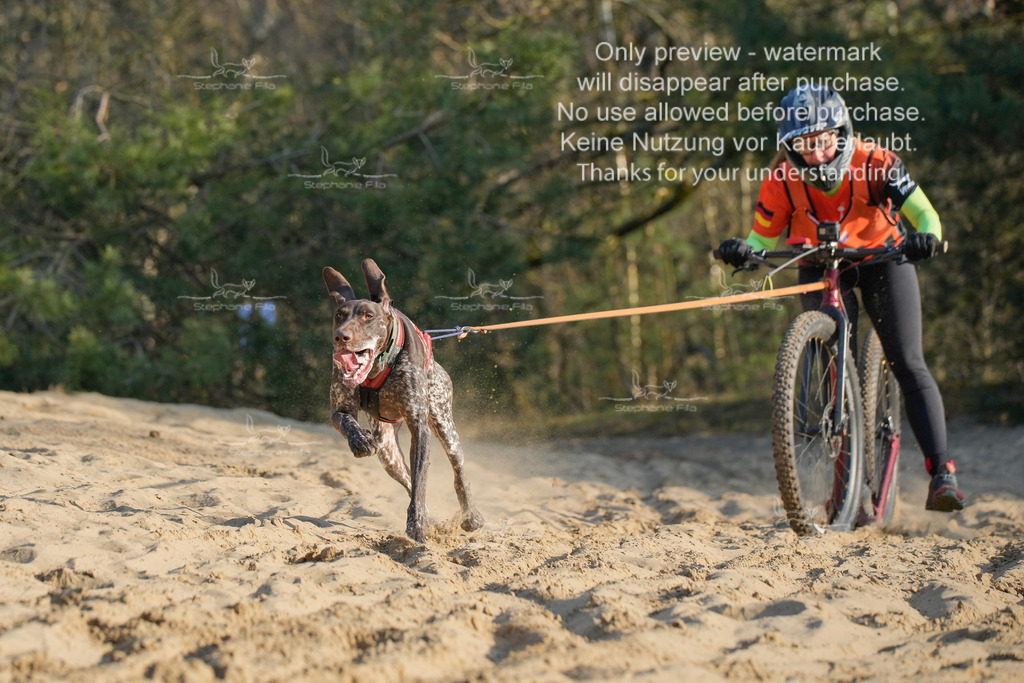 So_Scooter-161 | stephaniefillaphotographie - Realisiert mit Pictrs.com