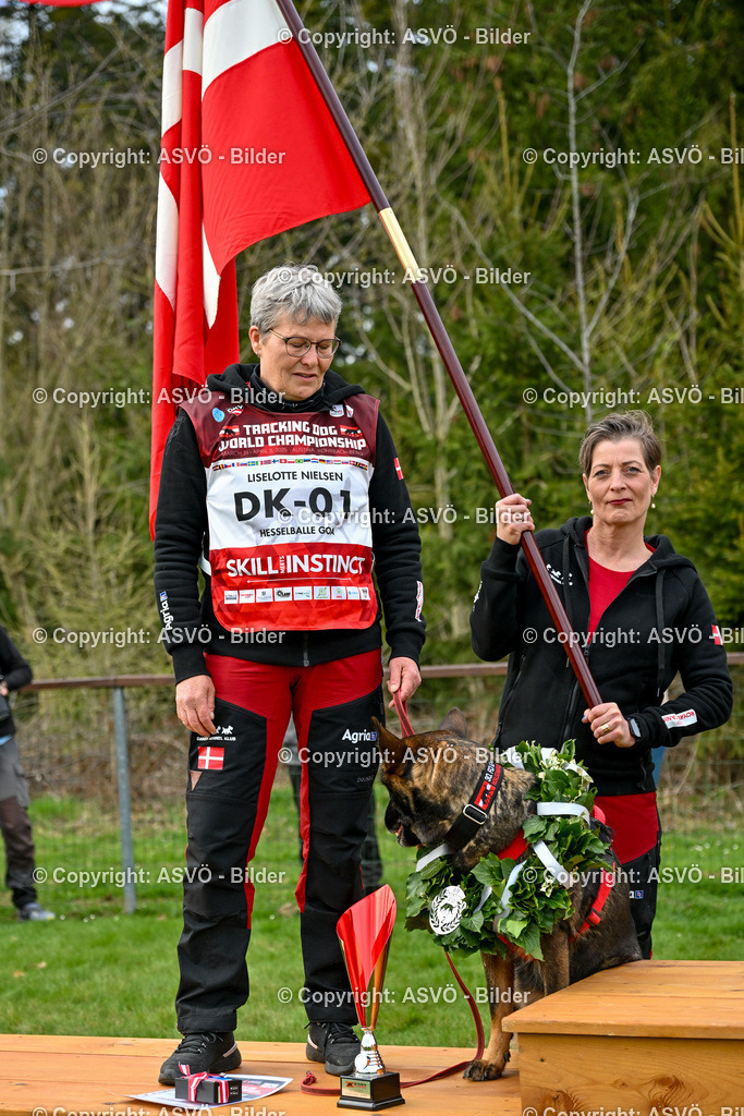 ASVÖ_ Tracking Dog World Championship 2025_ 05.04.2025-203 | bilder.asvo-sport - Realisiert mit Pictrs.com
