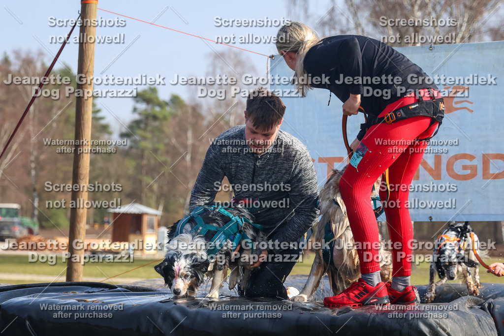 Dog Paparazzi - Strongdog North Mrz26-1826 | Dog Paparazzi Jeanette Grottendiek Fotografie & Videografie - Realisiert mit Pictrs.com