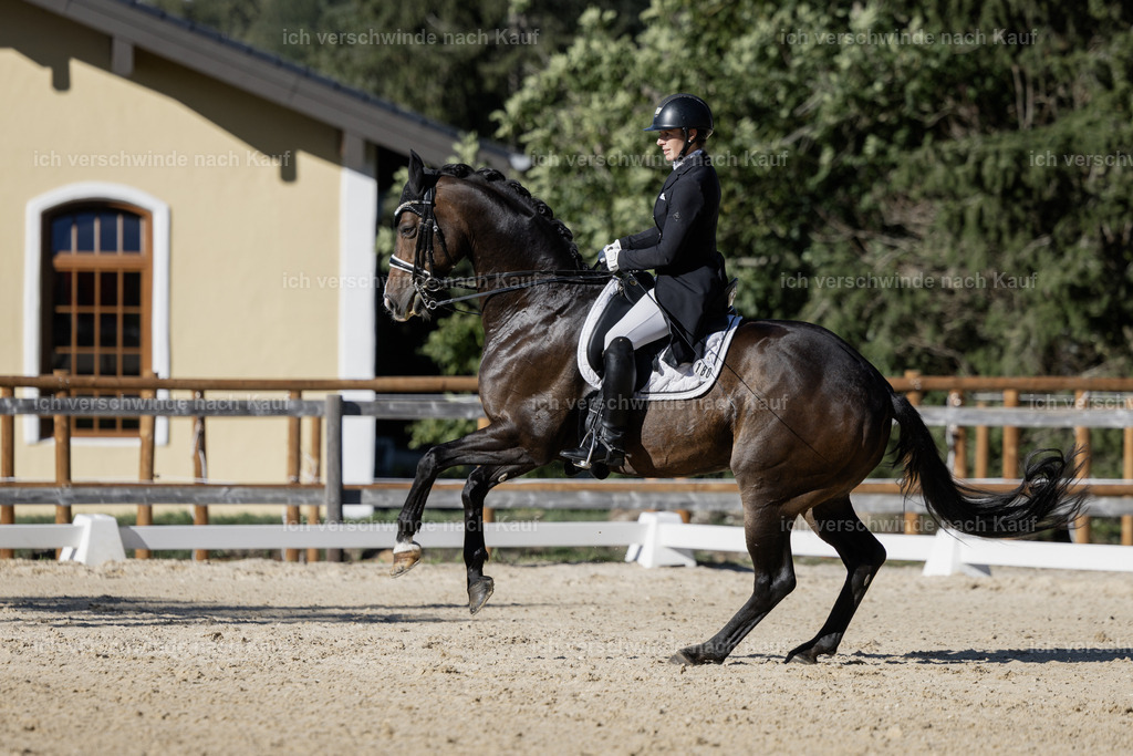 FHC2026_P09_180_18673 | Fichtenhof Classics 2026 – Grand Prix de Dressage - VOLTAIRE Design Preis, Reitanlage Fichtenhof, Sch ftlarn