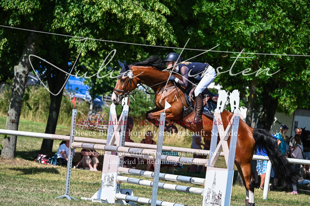 DSC_1610 | Pferde- und Turnierfotografie in Westsachsen. Pferdeportraits, Auftragszeichnungen und intuitive Kunst.