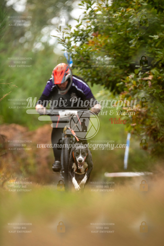 TSB_2023_E5_Bike-56 | PayLife