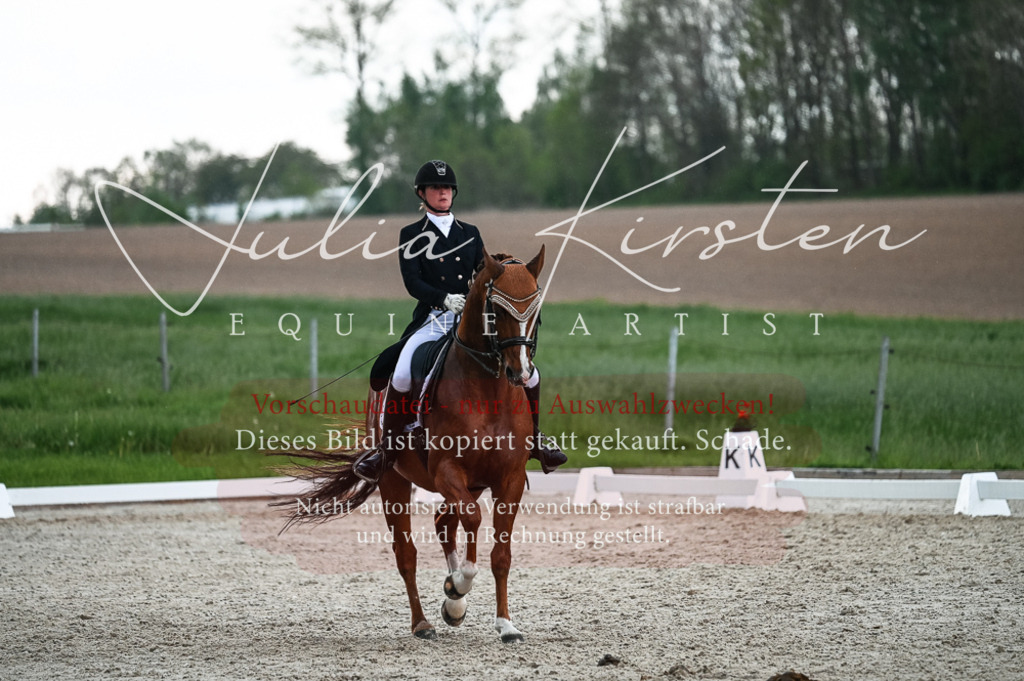 20230514_JK-Röhrsdorf-21-622 | Pferde- und Turnierfotografie in Westsachsen. Pferdeportraits, Auftragszeichnungen und intuitive Kunst.