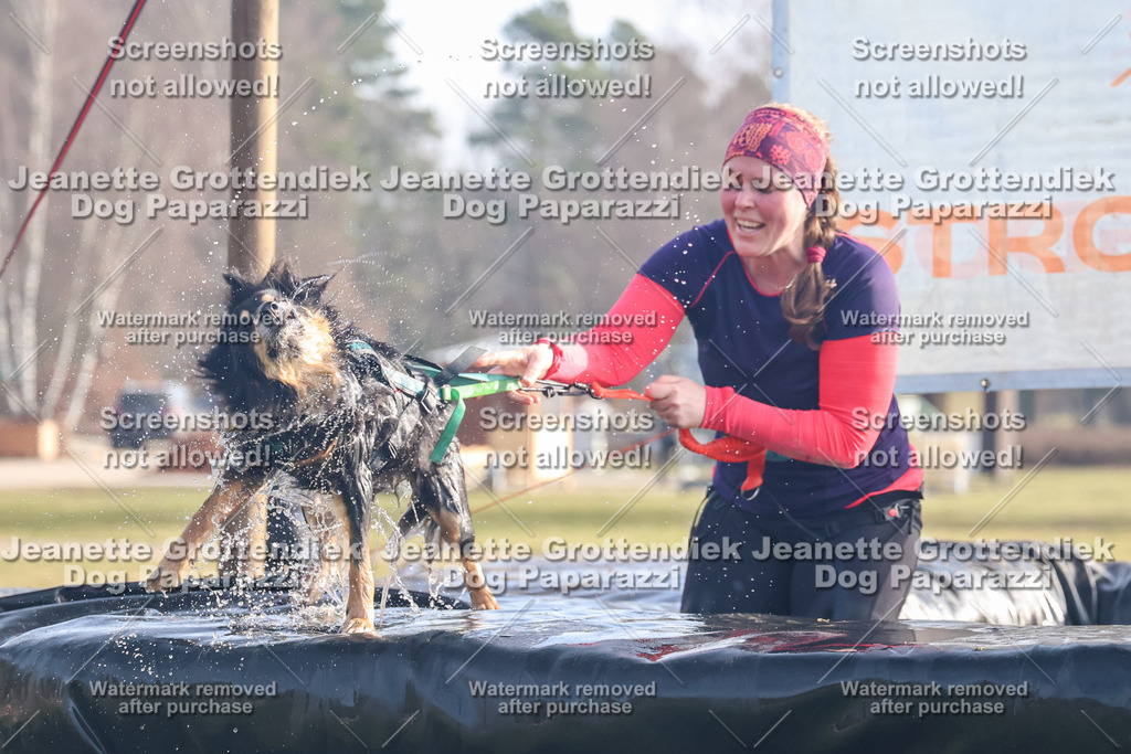 Dog Paparazzi - Strongdog North Mrz26-222 | Dog Paparazzi Jeanette Grottendiek Fotografie & Videografie - Realisiert mit Pictrs.com
