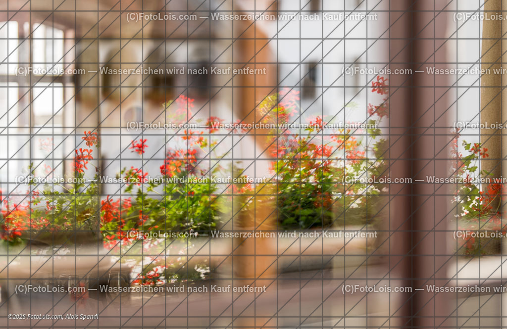 _ALP3700_Dinnerkonzert | XLI. CHOPIN-Festival - Prätatensaal, Sa 16. Aug. 2025, 13.00 Uhr, DINNERKONZERT, festliches Mittagessen mit musikalischen Darbietungen, Gewidmet Johann Strauss (200. Geburtstag) und Frédéric Chopin.    Manfred Wagner-Artzt - Klavier, Vera Kostner - Violine und Elias Tiefenbacher - Jazz-Piano.