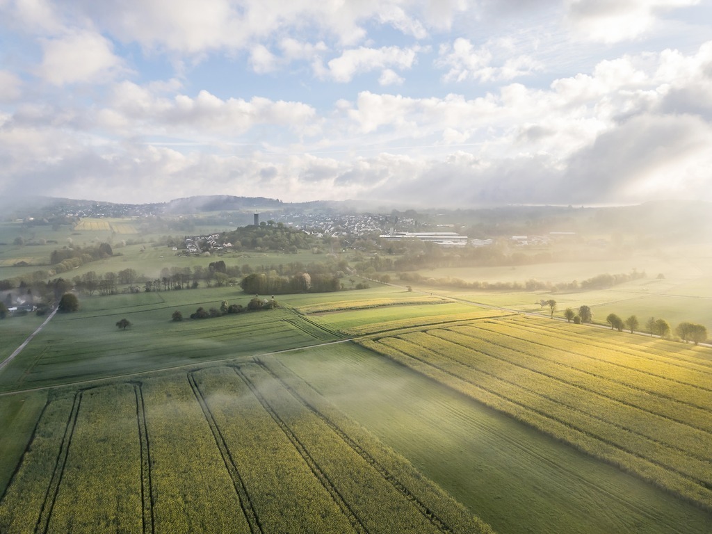 Hartenfels, Raps | fototour-deutschland - Realisiert mit Pictrs.com