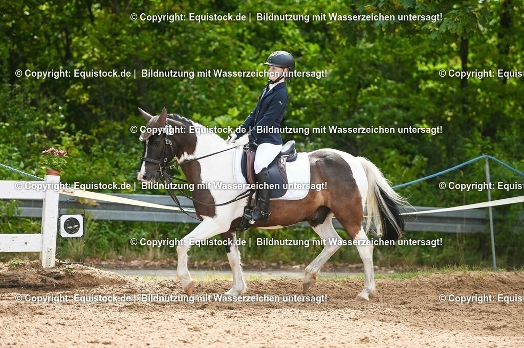 20230716_10-2_Reiter-WB Schritt - Trab - Galopp_0165 | equistock