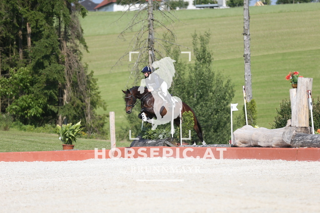 DL2Q3068 | Willkommen bei Brunnmayr - Design & Fotografie – Ihrem Spezialisten für Reitturniere und Pferdeveranstaltungen in Oberösterreich, Salzburg und Bayern! Seit über 17 Jahren sind wir leidenschaftlich dabei.
