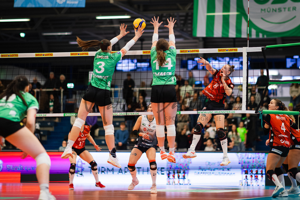 Volleyball, 1. Bundesliga Frauen, Hauptrunde, 8. Spieltag, Saison 2025/2026: USC Münster - Dresdner SC | 1. Bundesliga Frauen, Hauptrunde, 8. Spieltag, Saison 2025/2026, USC Münster empfängt Dresdner SC in der Sporthalle Berg Fidel in Münster. Foto: sportfotografie.ms | Markus Paletta - Realisiert mit Pictrs.com
