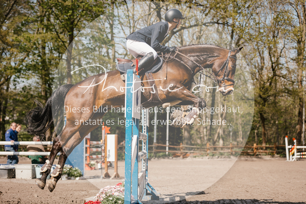 3I6A4076 | Stimmungsvolle Portraits und Reitsportfotografie im Ruhrgebiet und im Münsterland.

Pferdefotografie, Hundefotografie, Tierfotografie, Reportagen, Portraits von Tier und Mensch, Turnierfotografie in Bochum, Recklinghausen, Marl, Haltern am See, Dülmen.. - Realisiert mit Pictrs.com