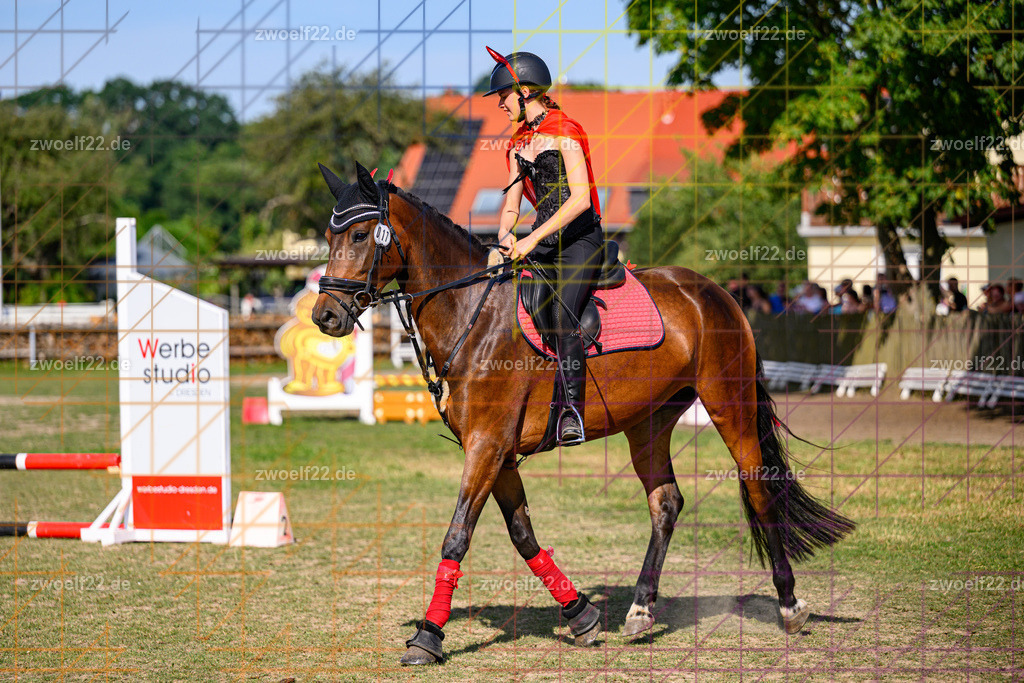 30 Jahre RFV Pulsnitz e.V., Pulsnitz am 09.08.2026 | Zur 28. breitensportlichen Veranstaltung des RFV Pulsnitz e.V. fanden verschiedene Wettbewerbe in nahezu allen Disziplinen des Pferdesport statt. - 05 Kostüm-Stilspring-Wettbewerb - Realisiert mit Pictrs.com