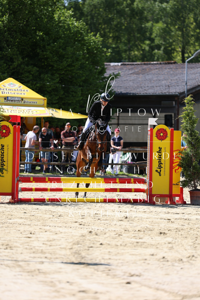 IMGS4393 | pl-fotografie