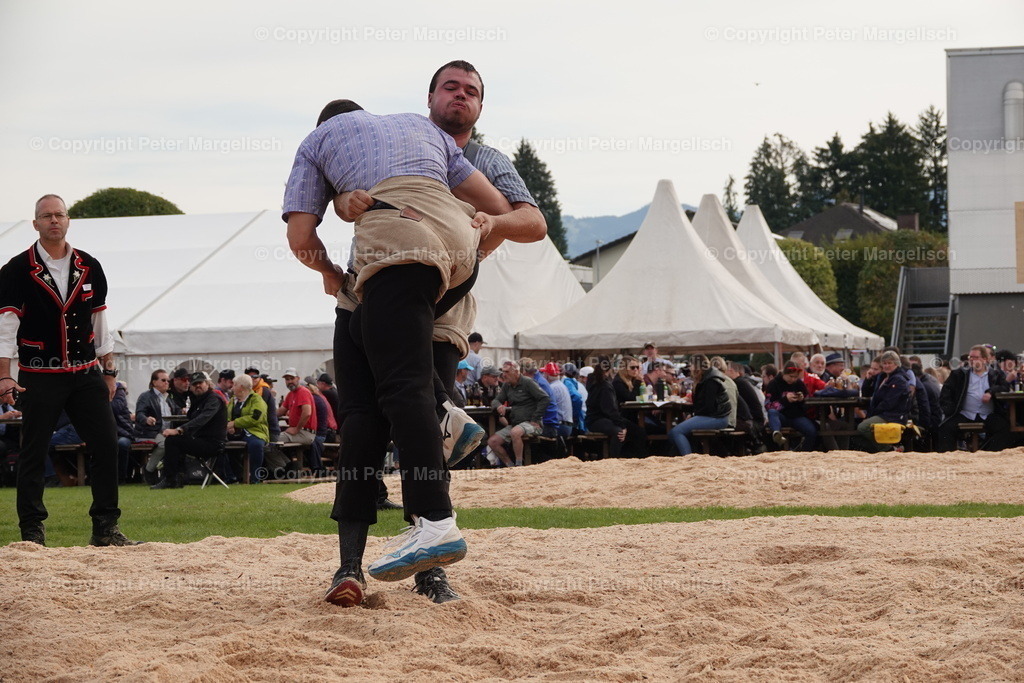 DSC08470 | Schwingen - Realisiert mit Pictrs.com