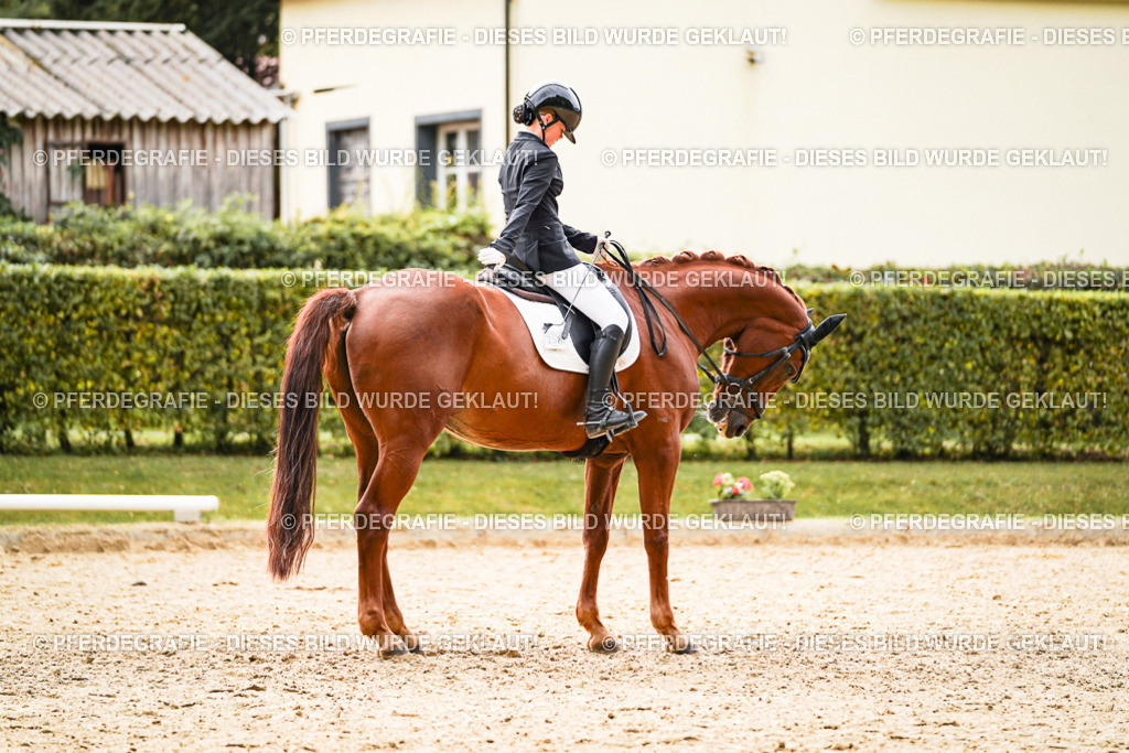 DSC01738 | Pferdegrafie