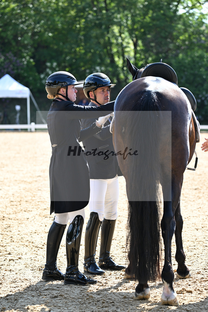 Equistro Dressurderby_26268041 | hf-fotografie - Realisiert mit Pictrs.com