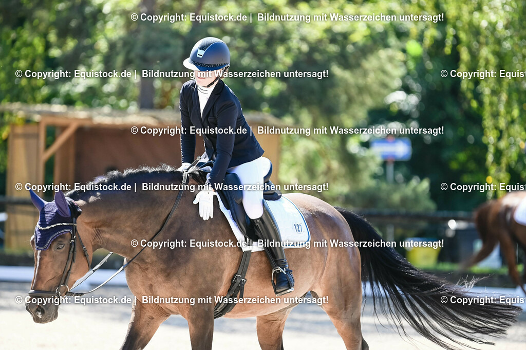 20230908_06_Dressur-L-Trense_0498 | equistock