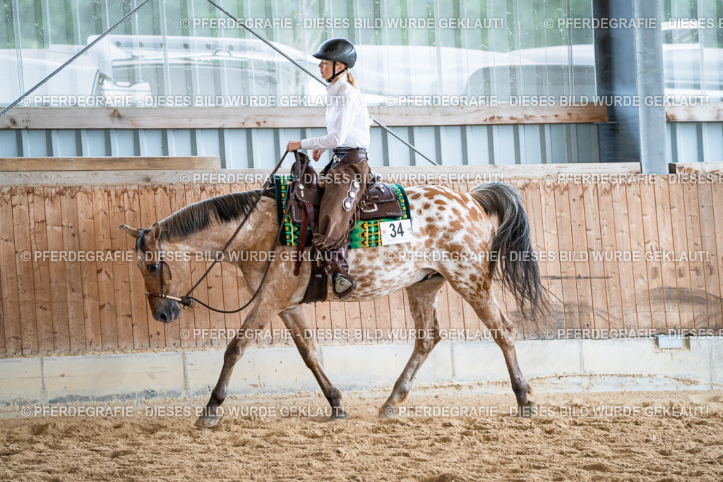 DSC01365 | Pferdegrafie