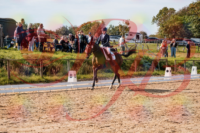 2026_10_03_Siefer-Hof_125624_Z63_63658565 | Professionelle Reitsport-, Turnier- und Eventfotografie von Robert Broda. Galerien mit ausgewählten und bearbeiteten Bildern direkt online ansehen und bestellen.
