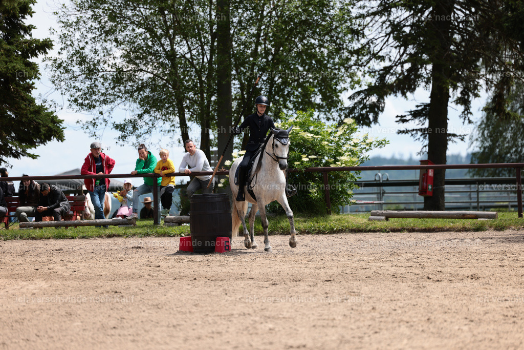 KlasseA_Stoibphotography_C2_L5712.JPG | working equitationturnier fotograf videograf stoibphotography marixx film working equitation deutschland reitsport turnierfotografie eventfotografie equestrian events