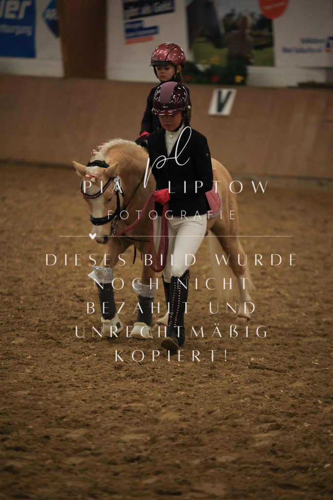 IMGT6613 | pl-fotografie