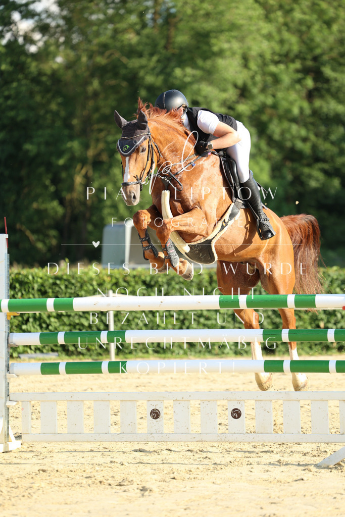 IMGM3938 | pl-fotografie