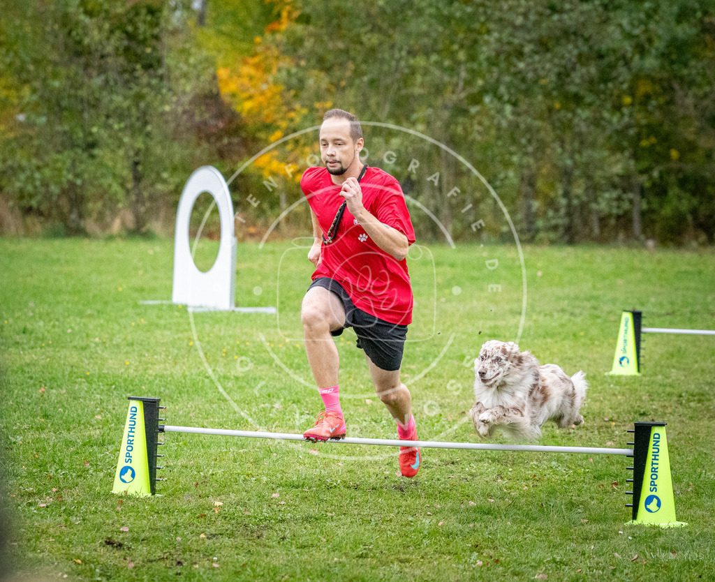 Pfotenfotografie_DV3A1470 | Hundefotografie, Tierfotograf, Pfotenfotografie, Fotoshooting Hund, Hunde Portrait, Hundesport, Hundeportraits, Heideshooting, Hunde, Sportfotograf, Hundefotograf, Turnierhundsport, THS,  - Realisiert mit Pictrs.com