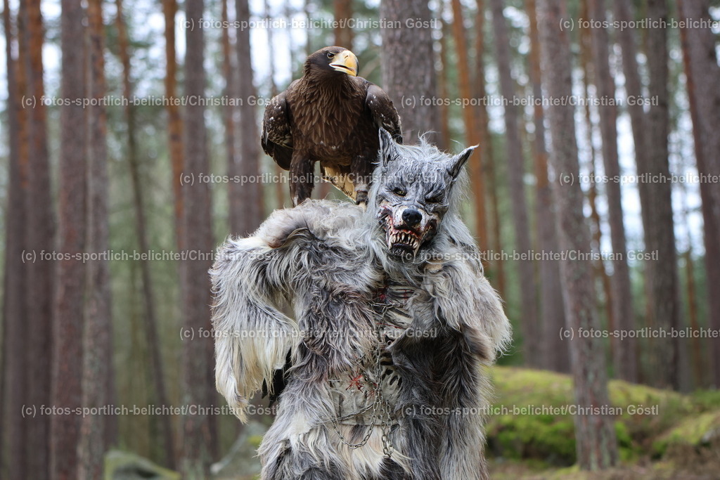 2X5A4346 | fotos-sportlich-belichtet - Realisiert mit Pictrs.com