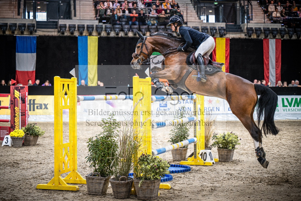 DOS_0454 | Entdecke hochwertige Reitturnierfotos von Foto Oger. Professionell, emotional und authentisch – jetzt Lieblingsmomente im Shop bestellen.Deutschlandweite Turnierfotografie. - Realisiert mit Pictrs.com