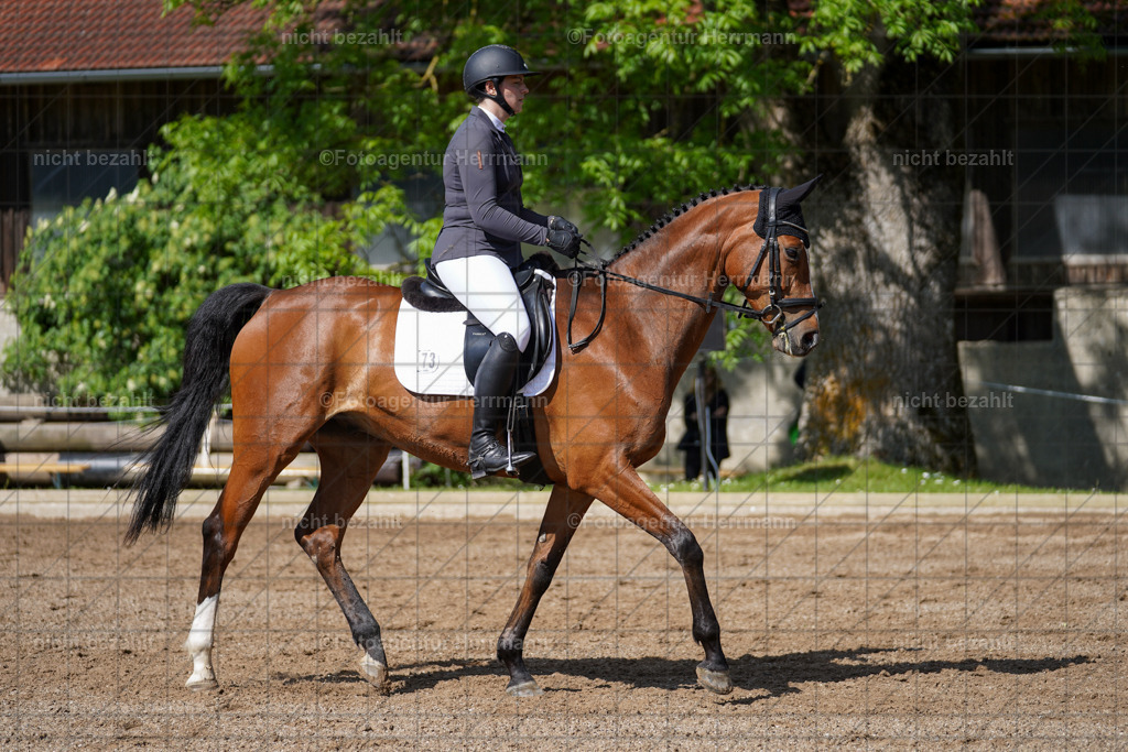 20240519-FAH04735 | Turnierbilder Niederseeon 2024, Vielseitigkeitsdressur, Reitsportbilder aus dem Landkreit Ebersberg, Gut Steinsee, RC Steinsee, Fotoagentur Herrmann