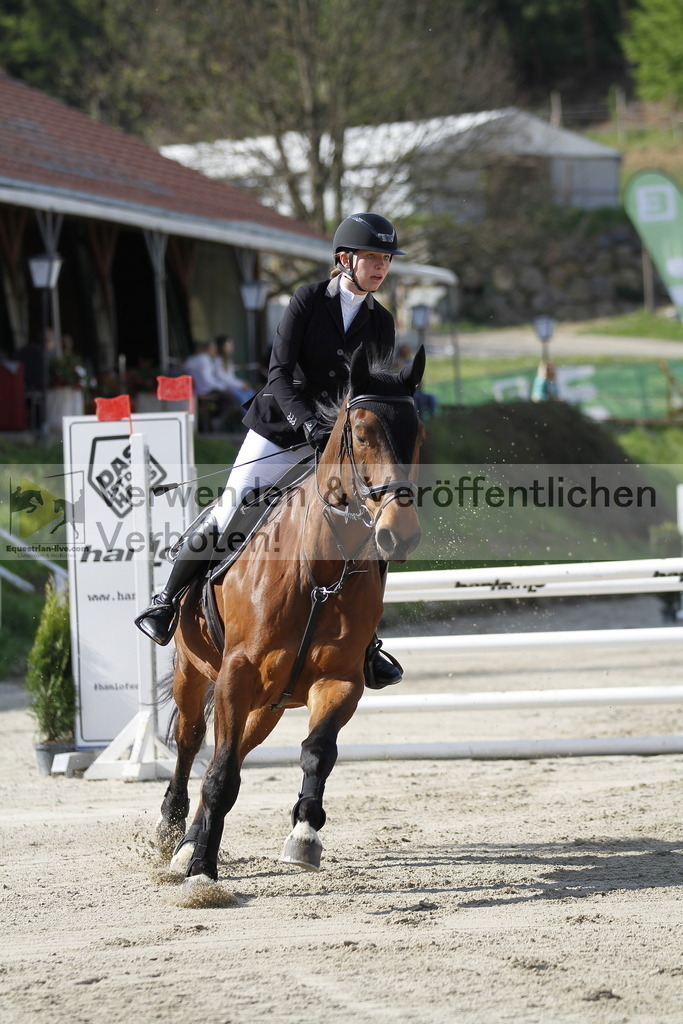 _MG_8057 | equestrian-live-com