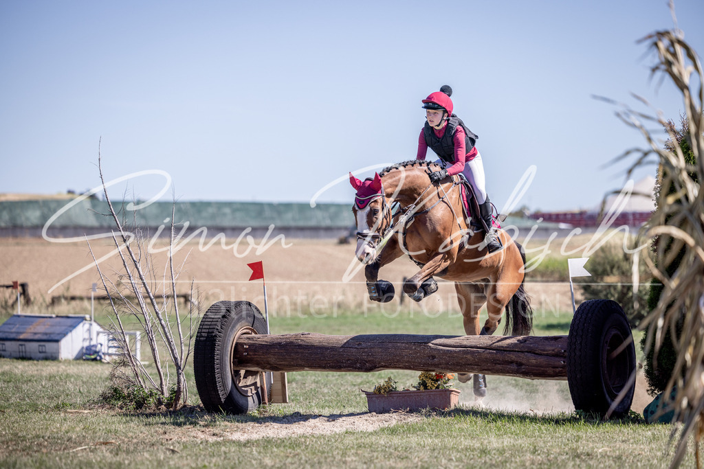 20260906-_3LI3922 | Tierfotografie Pferde, Hunde, Katzen, Haustiere.
Turnierfotografie Reitturniere, Reiten, Springreiten, Dressur in Hanau, dem Main-Kinzig-Kreis und dem Rhein-Main- Gebiet um Frankfurt