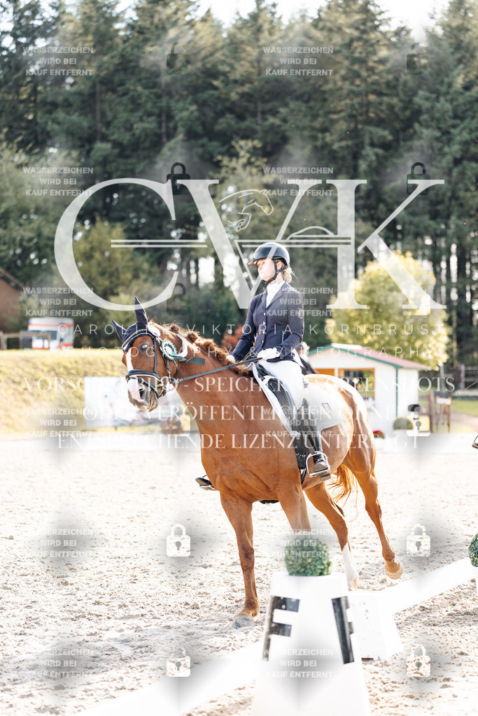 CK901795 | Turnierfotografie Pferdefotografie Trier Rheinland-Pfalz Pferdesport Reitsport Tierfotografie Sportfotografie Pferdevideo Pferdevideografie Equestrianvideography equestrianphotography  - Realisiert mit Pictrs.com