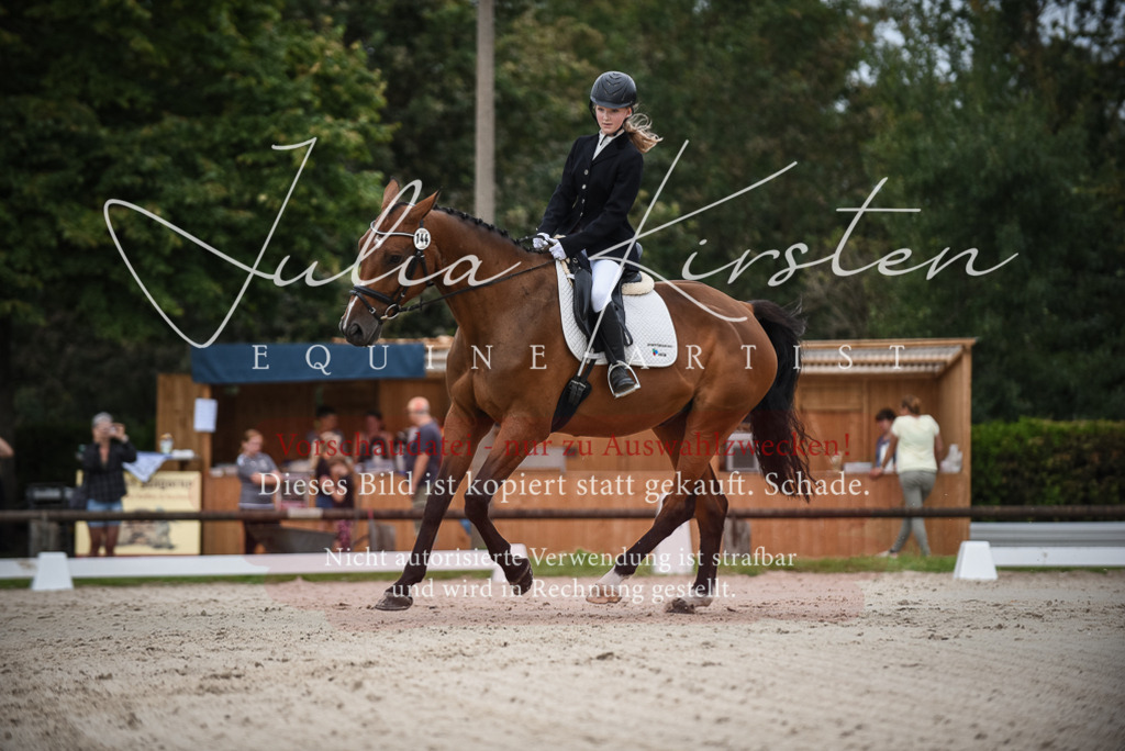 DSC_8030 | Pferde- und Turnierfotografie in Westsachsen. Pferdeportraits, Auftragszeichnungen und intuitive Kunst.