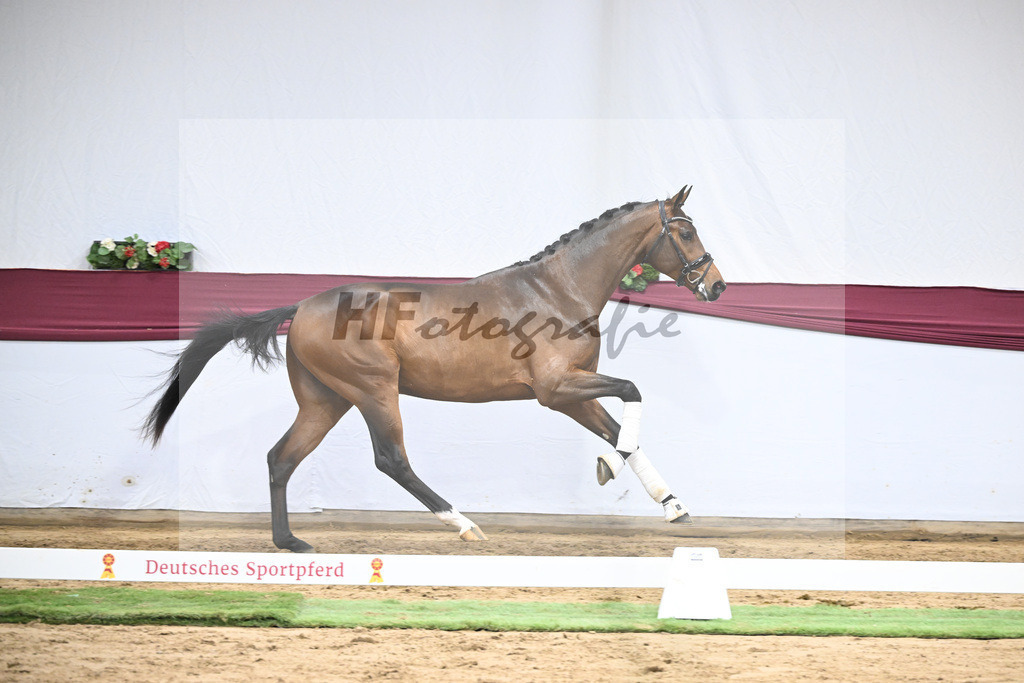 Kat-Nr. 43 Va Pensiero x Secret_Philipp Stuppert_47251514 | hf-fotografie - Realisiert mit Pictrs.com