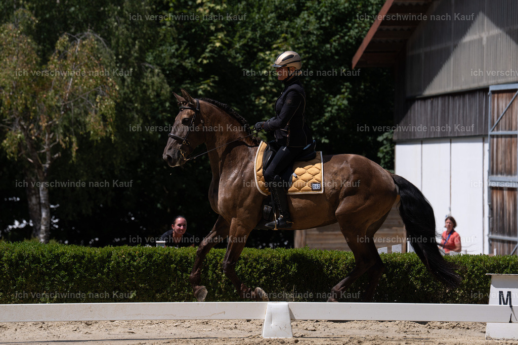 WS_DR_60_sinafilmart_IN02600 | working equitationturnier fotograf videograf stoibphotography marixx film working equitation deutschland reitsport turnierfotografie eventfotografie equestrian events