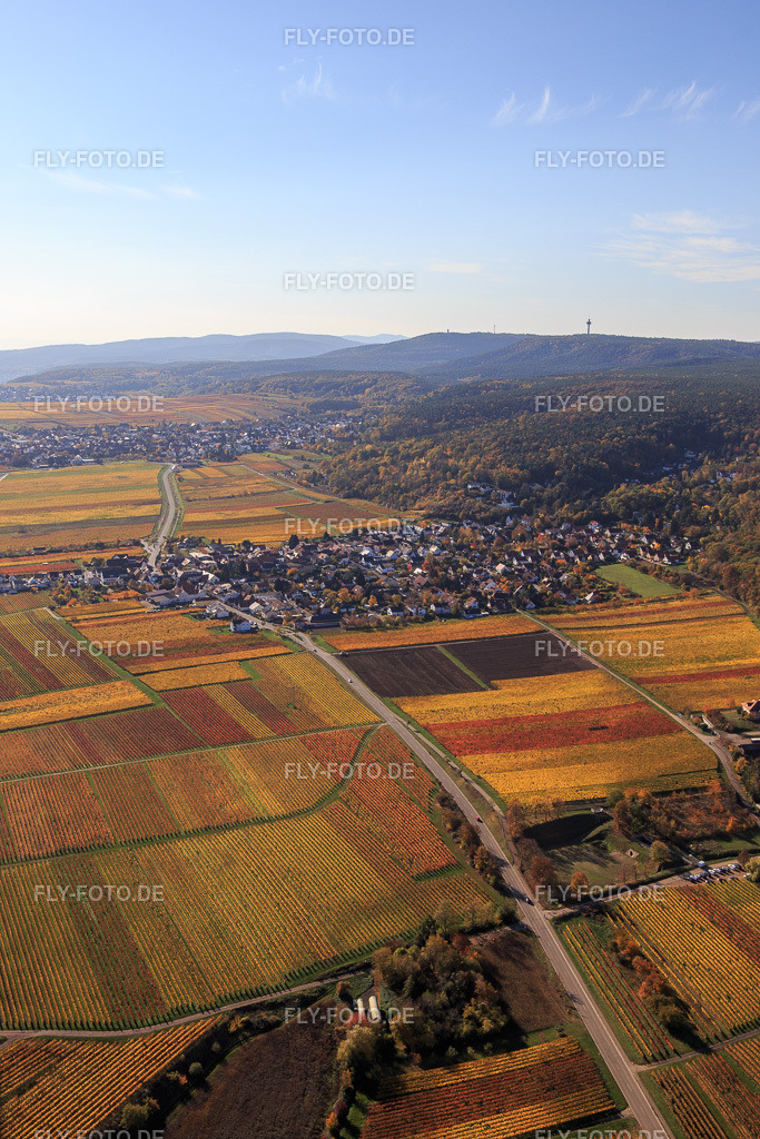 Winzerort aus Norden zwischen dem Haardtrand und herbstlich gefärbten Weinbergen | Luftbild: Winzerort aus Norden zwischen dem Haardtrand und herbstlich gefärbten Weinbergen in Bobenheim am Berg im Bundesland Rheinland-Pfalz in Deutschland. Foto: IMG_123603.jpg vom 31.10.2020 durch Werner Riehm/FLY-FOTO.de - Realisiert mit Pictrs.com