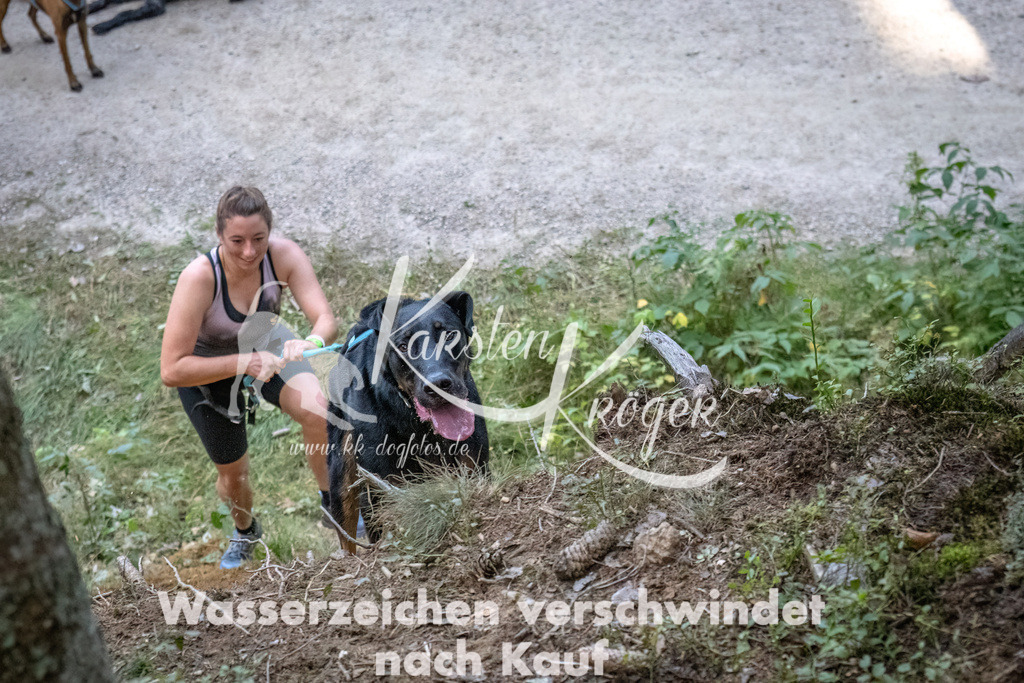 0943_ZZ92709-DeNoiseAI-low-light | kk-dogfotos