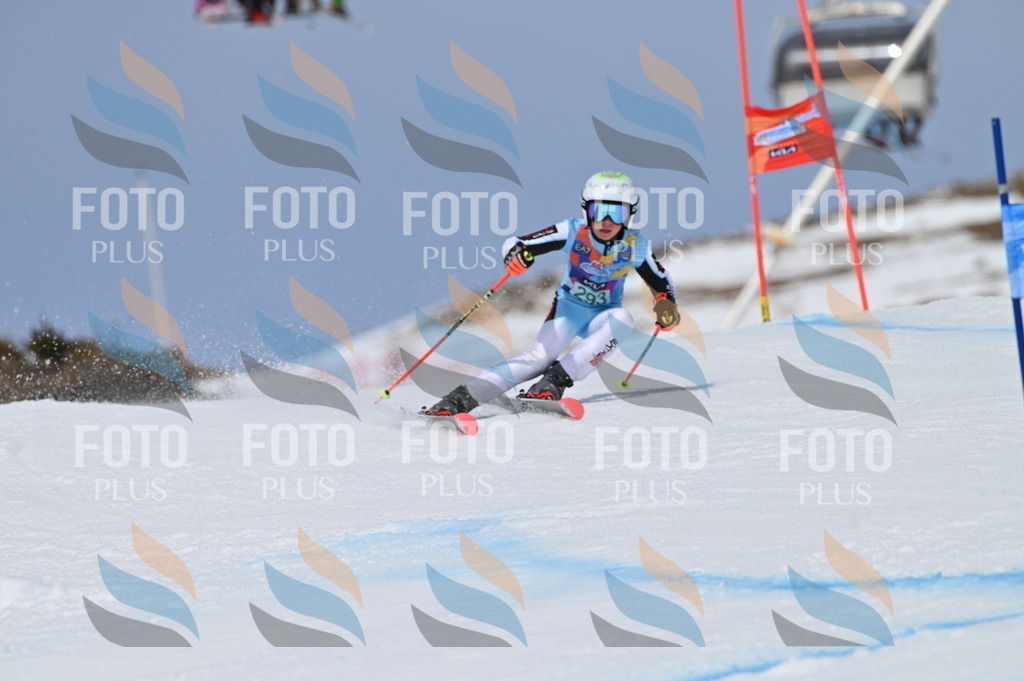 BGV_5847 | holidayphoto