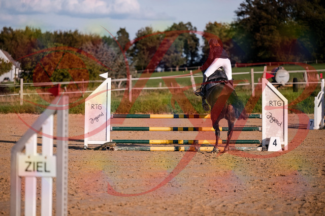 2026_10_03_Siefer-Hof_171906_Z81_17128652 | Professionelle Reitsport-, Turnier- und Eventfotografie von Robert Broda. Galerien mit ausgewählten und bearbeiteten Bildern direkt online ansehen und bestellen.