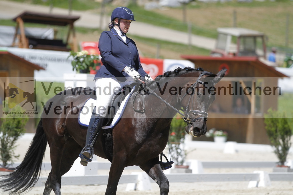 _MG_4913 | equestrian-live-com