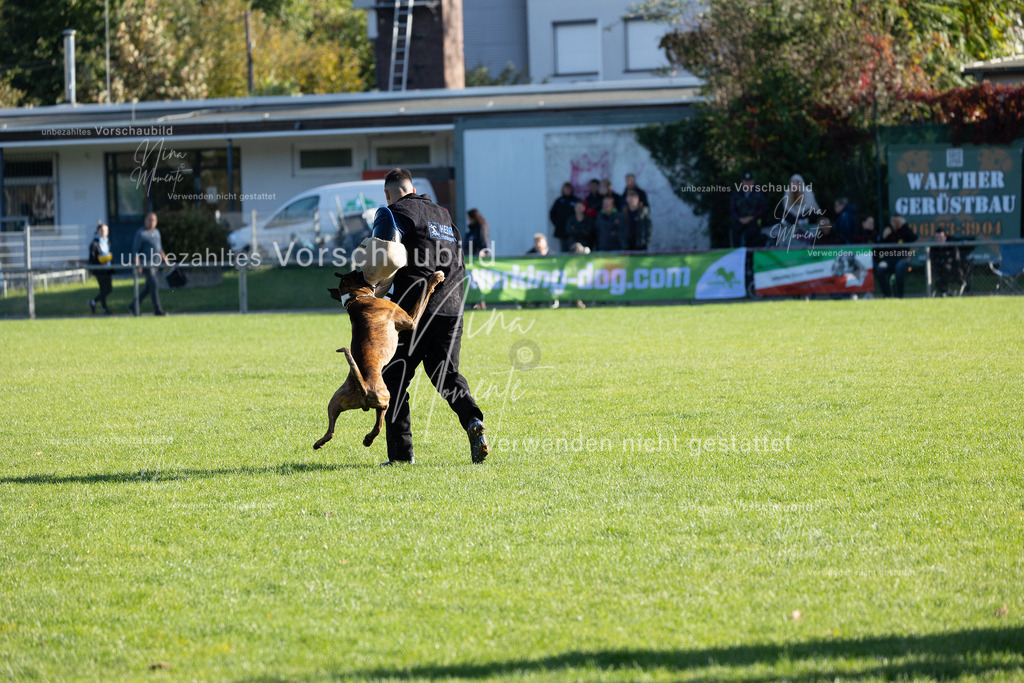_16A5014 | Einzigartige Fotos von Hunden & Menschen –Actionfotos, Portraits, Vereinsaufnahmen & Paarshootings – authentisch, lebendig & mit Herz.