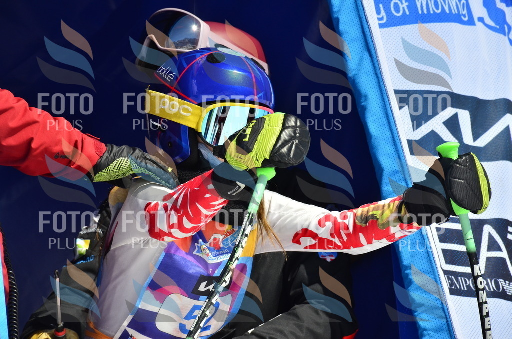 _ELE0180 | holidayphoto