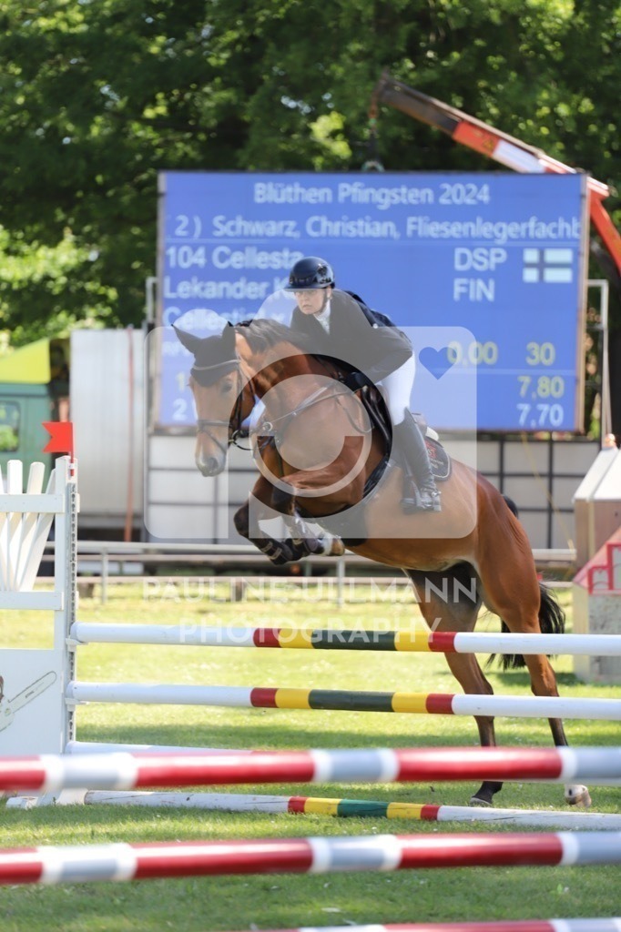 IMG_6071 | Pauline Ullmann Photography - Realisiert mit Pictrs.com