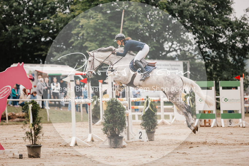 3I6A2033 | Stimmungsvolle Portraits und Reitsportfotografie im Ruhrgebiet und im Münsterland.

Pferdefotografie, Hundefotografie, Tierfotografie, Reportagen, Portraits von Tier und Mensch, Turnierfotografie in Bochum, Recklinghausen, Marl, Haltern am See, Dülmen.. - Realisiert mit Pictrs.com