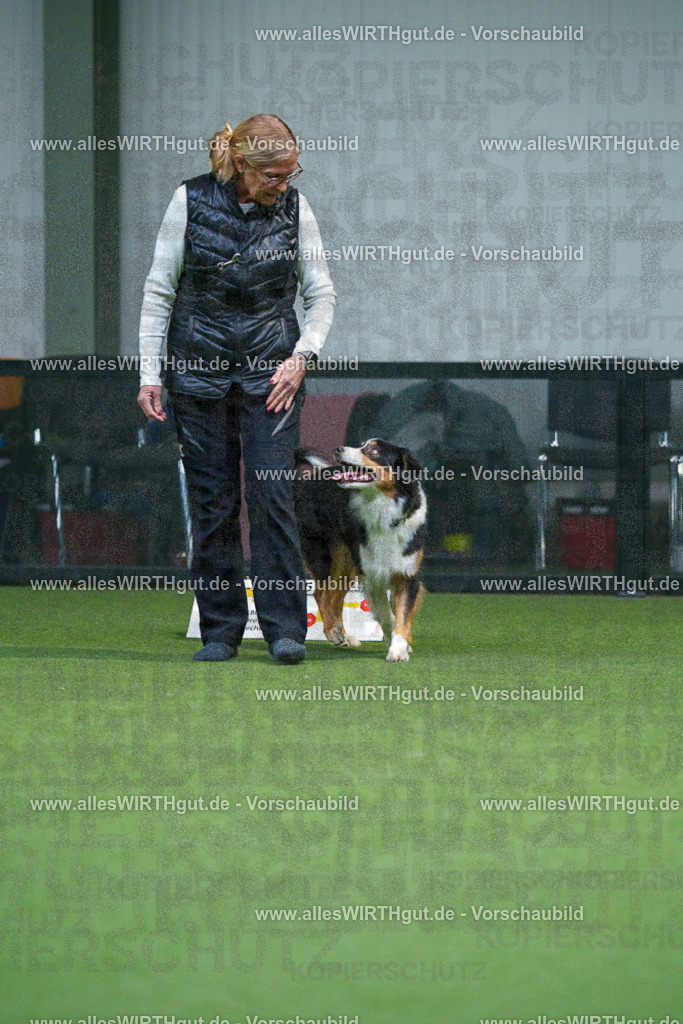 7R503274 | Professionelle Tierfotografie in Mönchengladbach von Daniel Wirth (allesWIRTHgut). Liebevolle & natürliche Bilder von Hunden & Katzen für unvergessliche Erinnerungen.