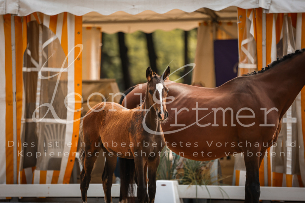 10.DoRP00092 | Leoni Ertmer Photography - Realisiert mit Pictrs.com