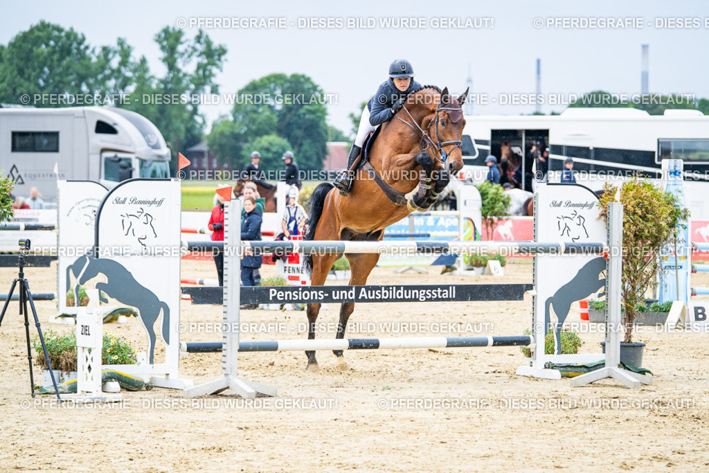 DSC06874 | Pferdegrafie