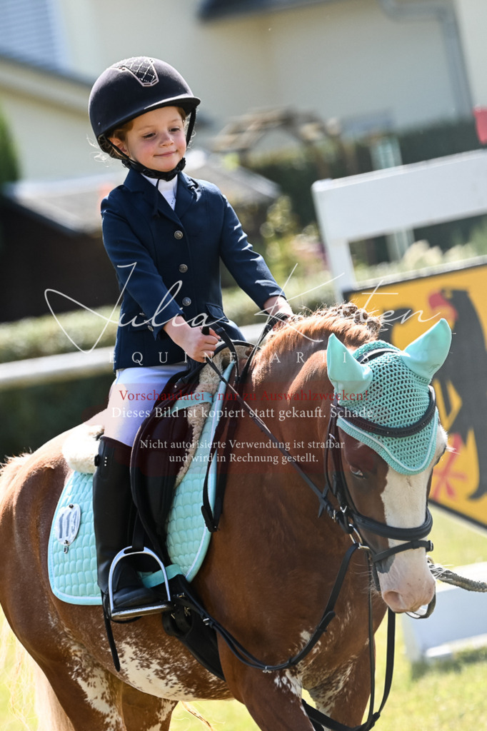 DSC_6814 | Pferde- und Turnierfotografie in Westsachsen. Pferdeportraits, Auftragszeichnungen und intuitive Kunst.